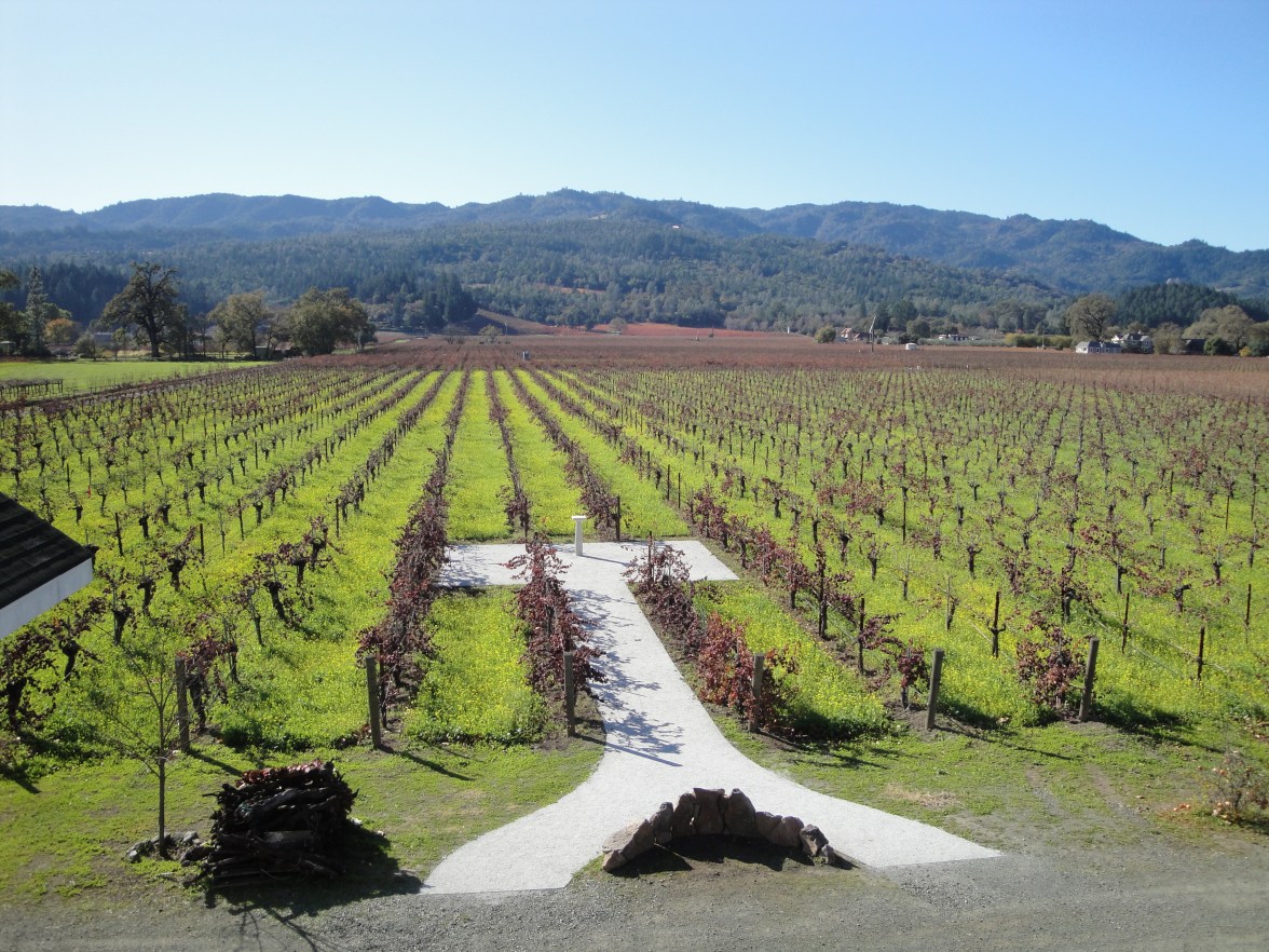 Kronos Vineyard from the 2nd Story of the Barn
